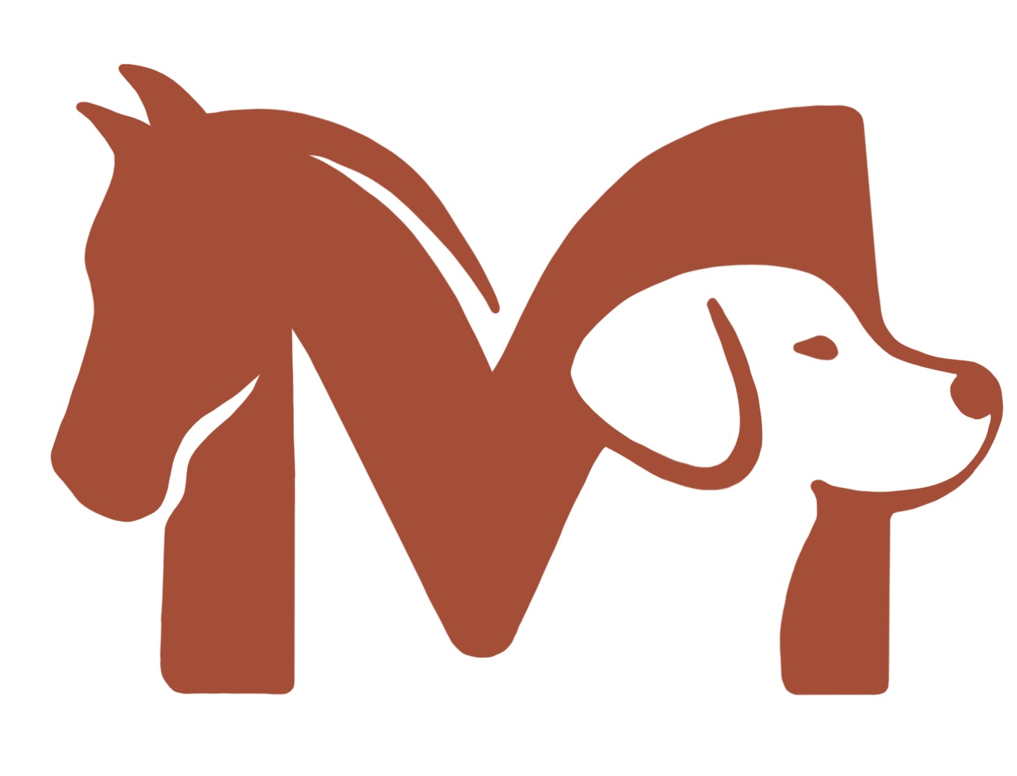 Tierphysiotherapie MErle